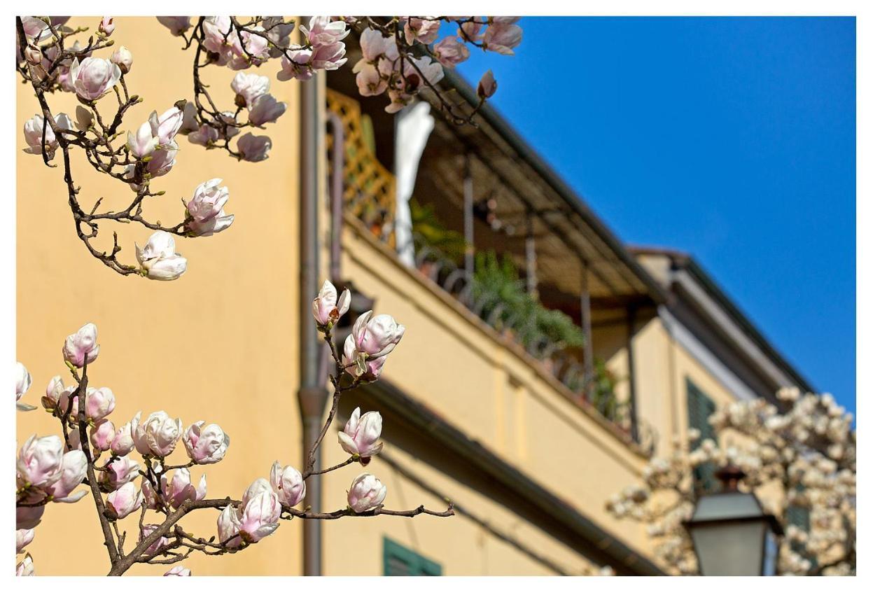 Casa San Girolamo Historic Flat With Cosy Terrace In Lucca'S City Centre Экстерьер фото